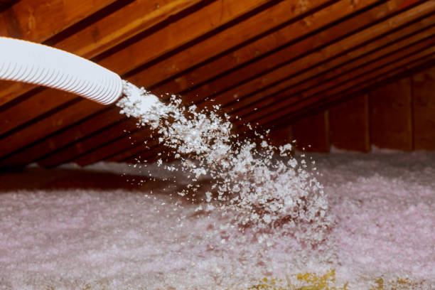 Best Eco-Friendly Insulation in Fayette, LA